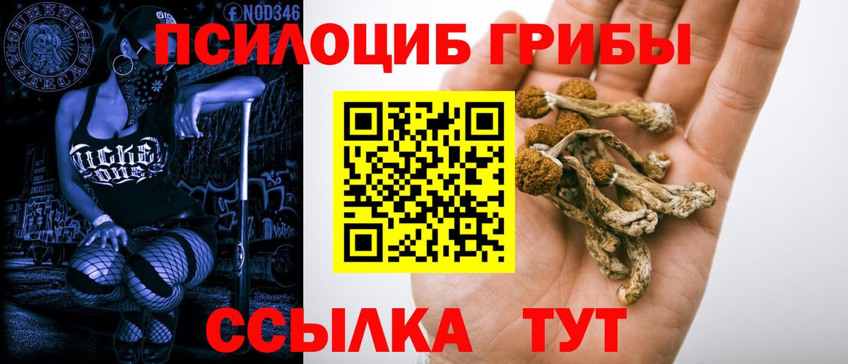 Тавда  Псилоцибиновые грибы ЛСД  Вход с VPN  Псилоцибиновые грибы Psilocybine cubensis 