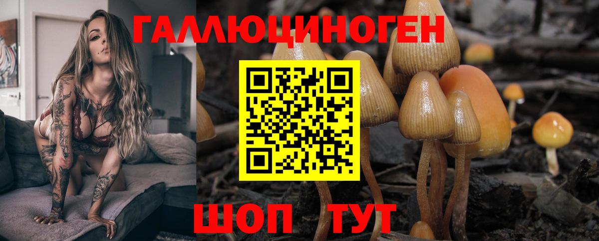 Галлюциногенные грибы ЛСД Тавда